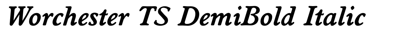 Worchester TS DemiBold Italic image